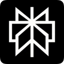 Perplexity logo